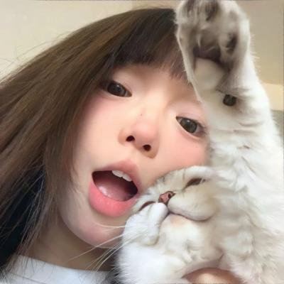 嘟嘟猫观察日记
